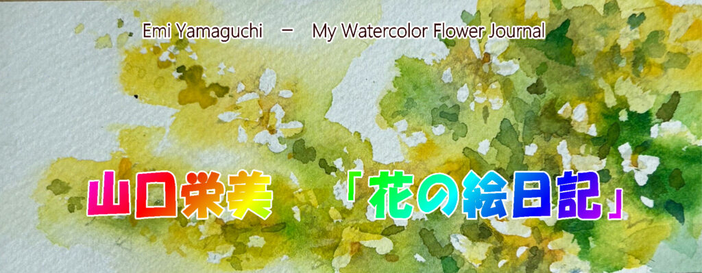山口栄美「花の絵日記」TOP