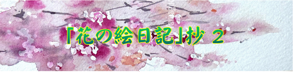 花の絵日記抄　2