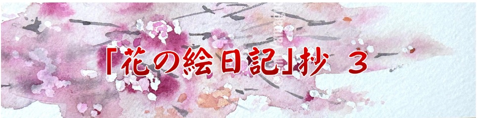花の絵日記抄　3