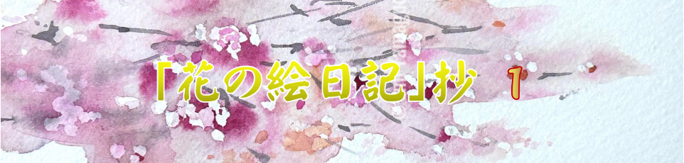 花の絵日記抄　1