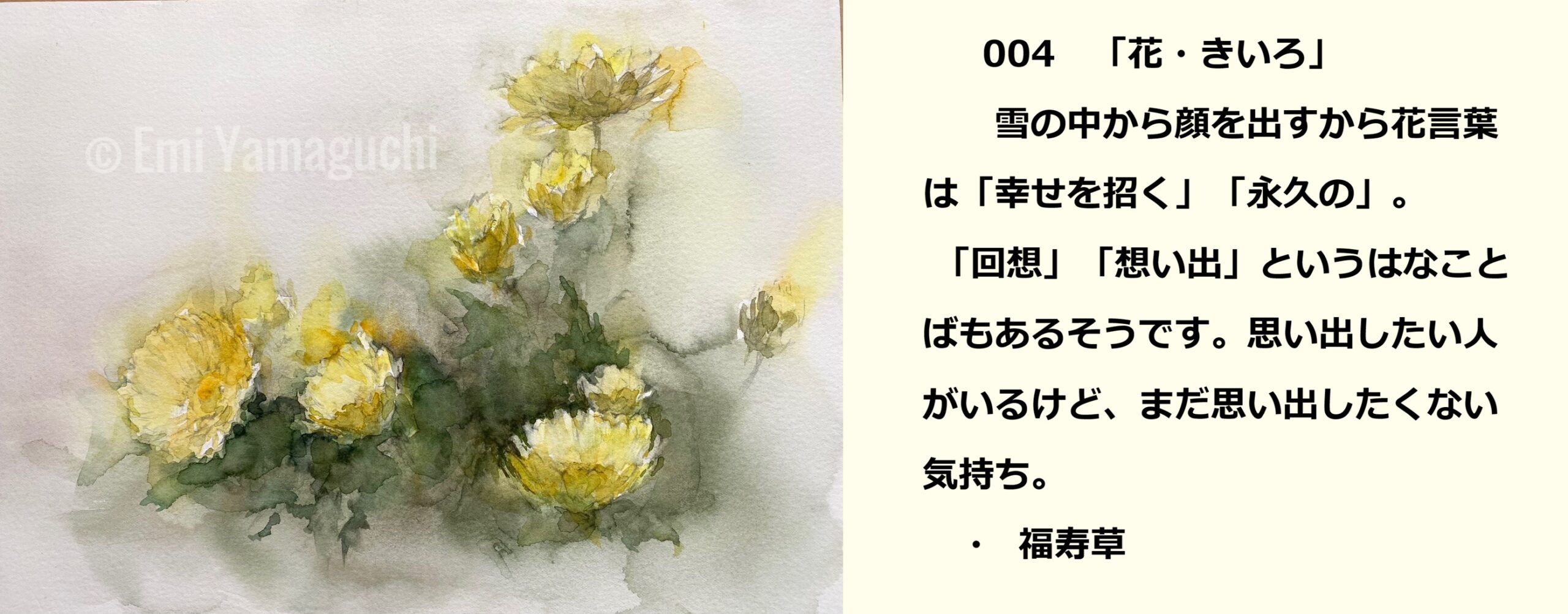 04 福寿草