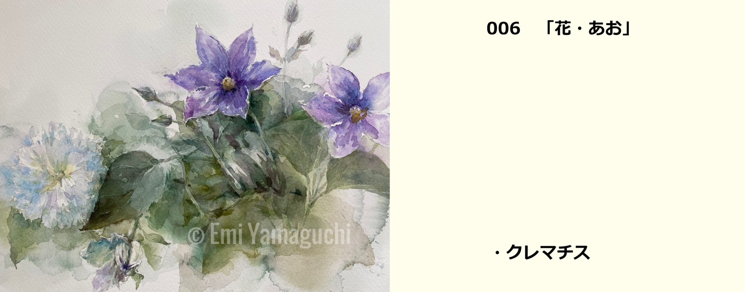 06 クレマチス
