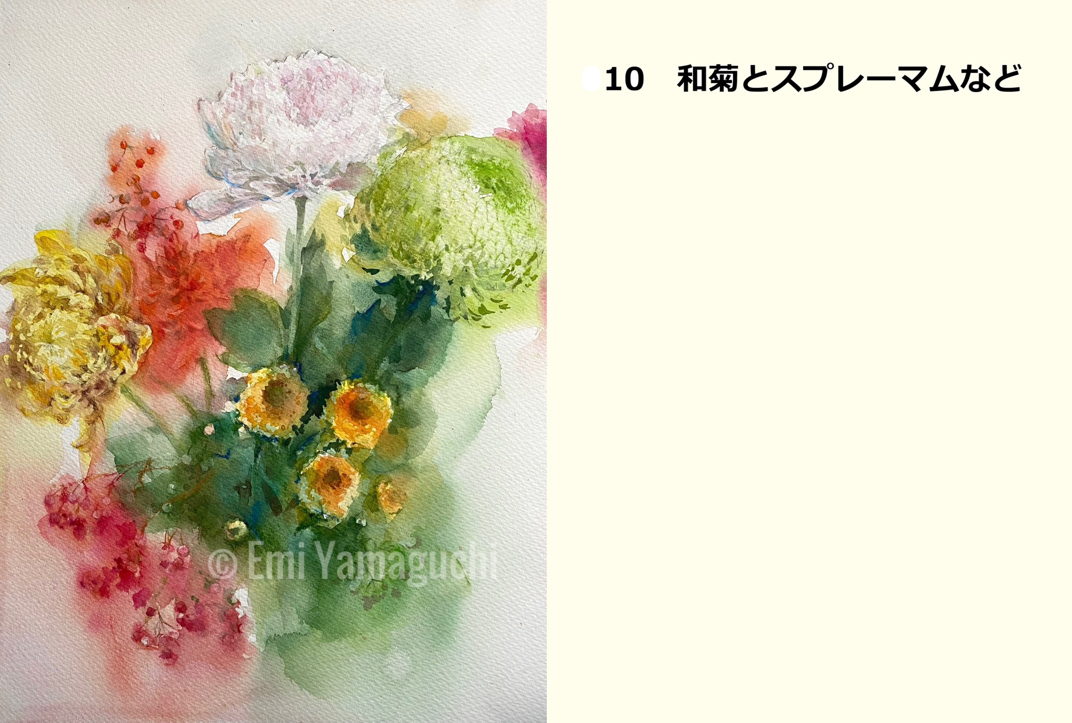 10 和菊とスプレーマムなど