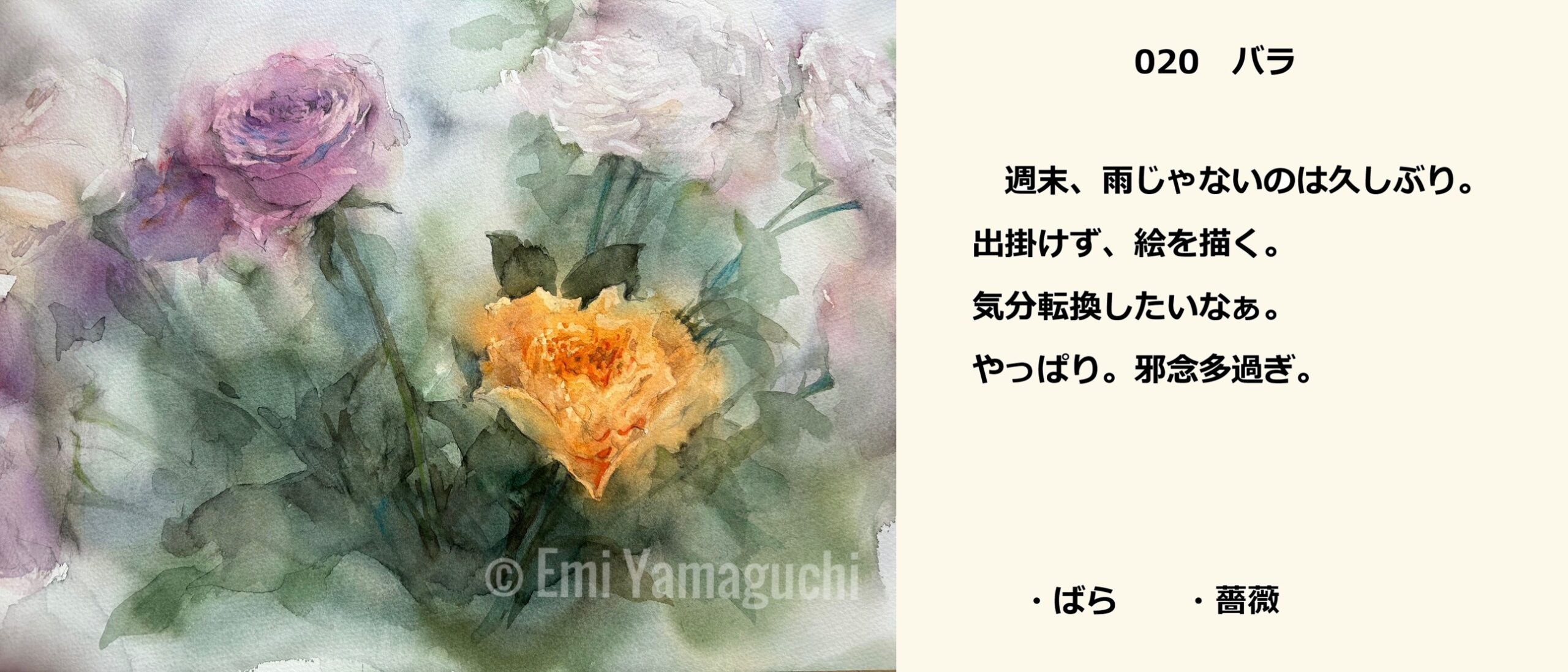 20 バラ