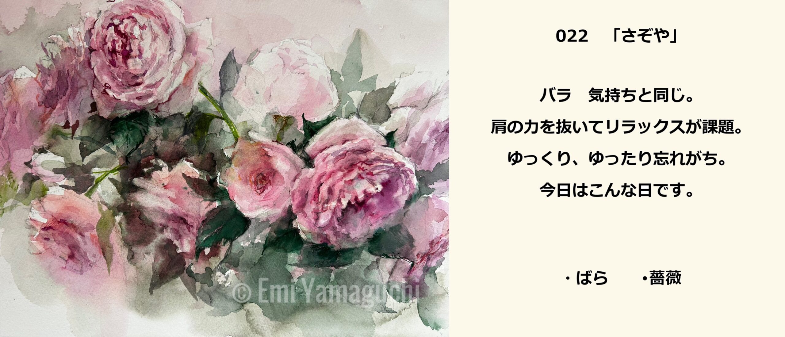 22 バラ