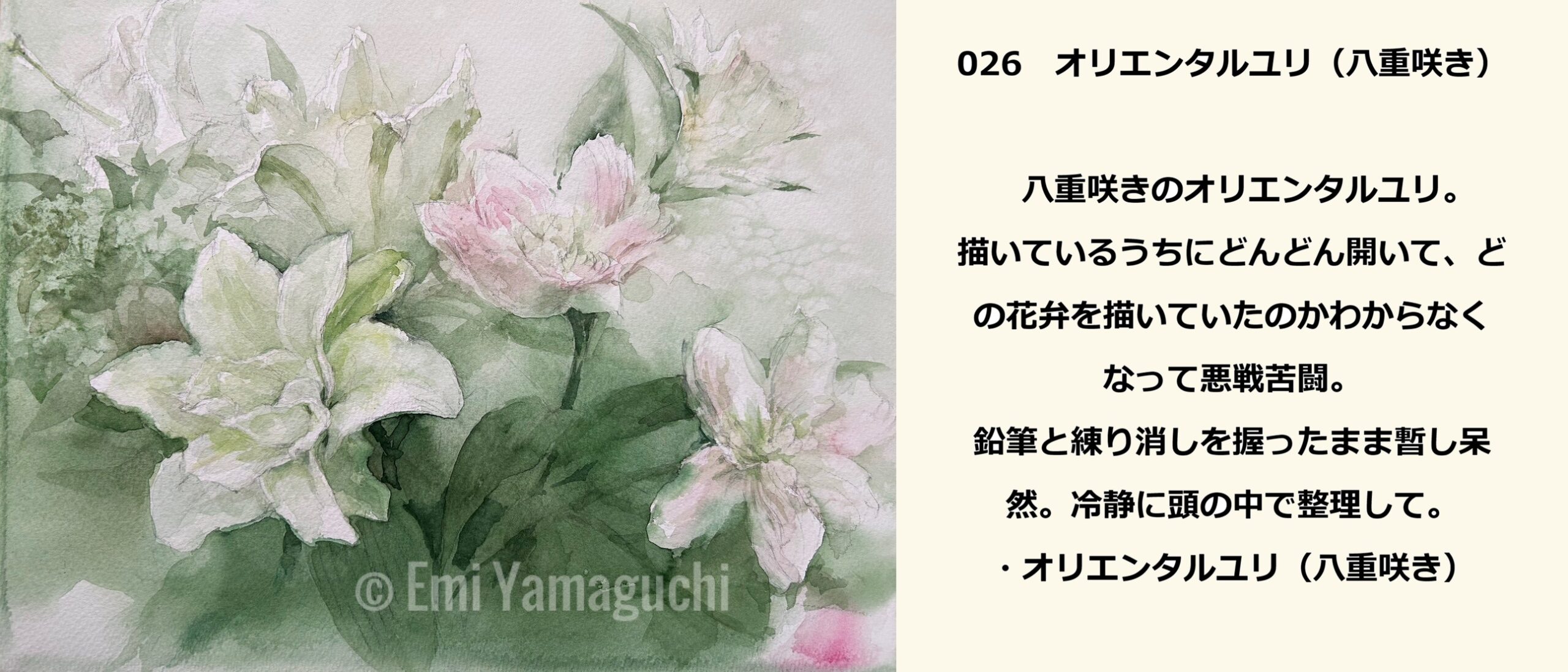 26 オリエンタルユリ（八重咲き）