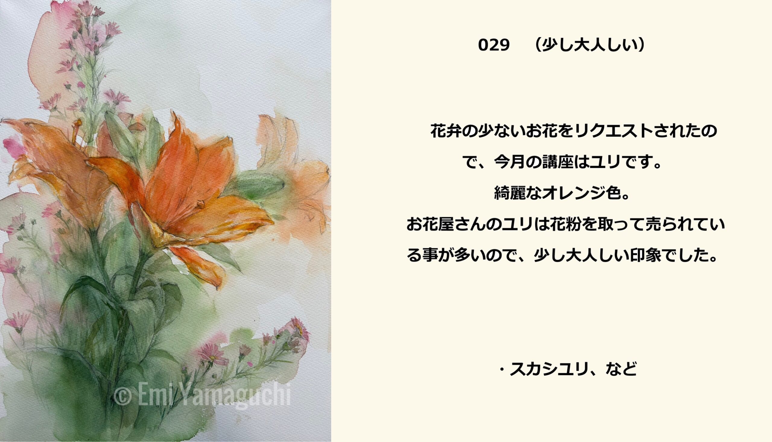 29 スカシユリなど