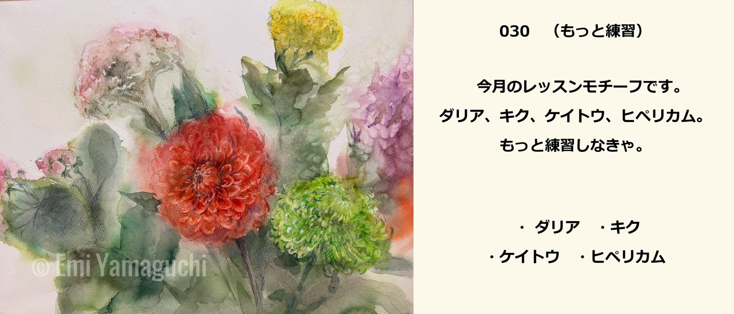 30 ダリア、キク、ケイトウ、ヒペリカム