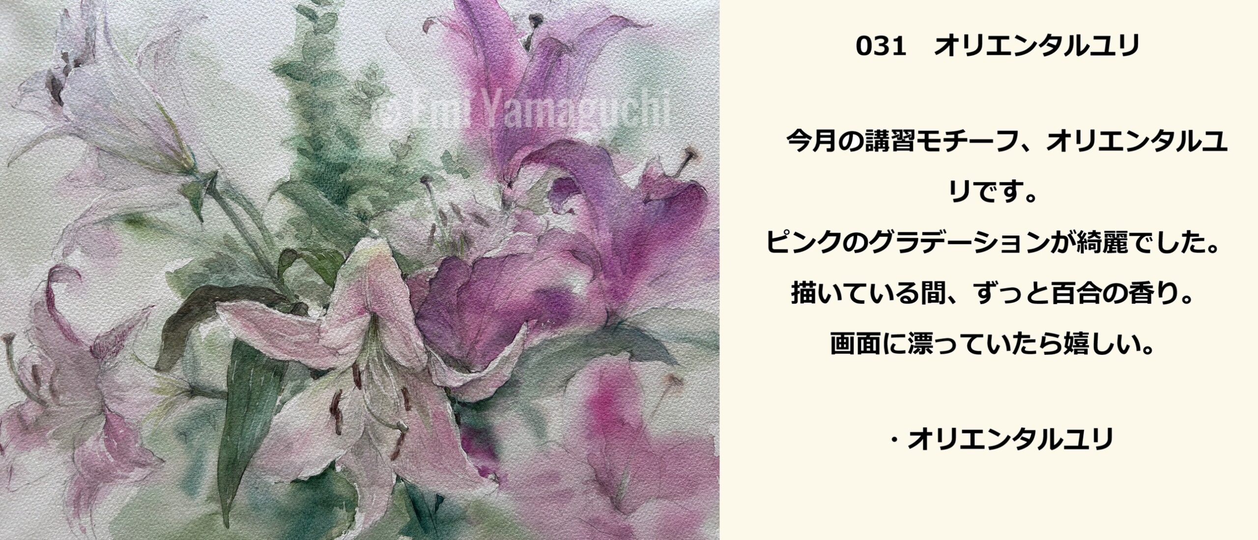 31 オリエンタルユリ