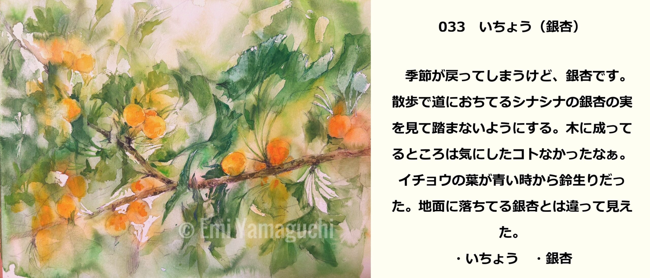 33 いちょう　
