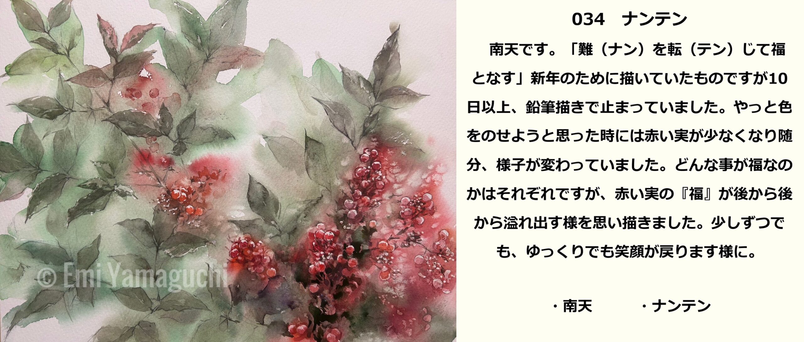 34 ナンテン