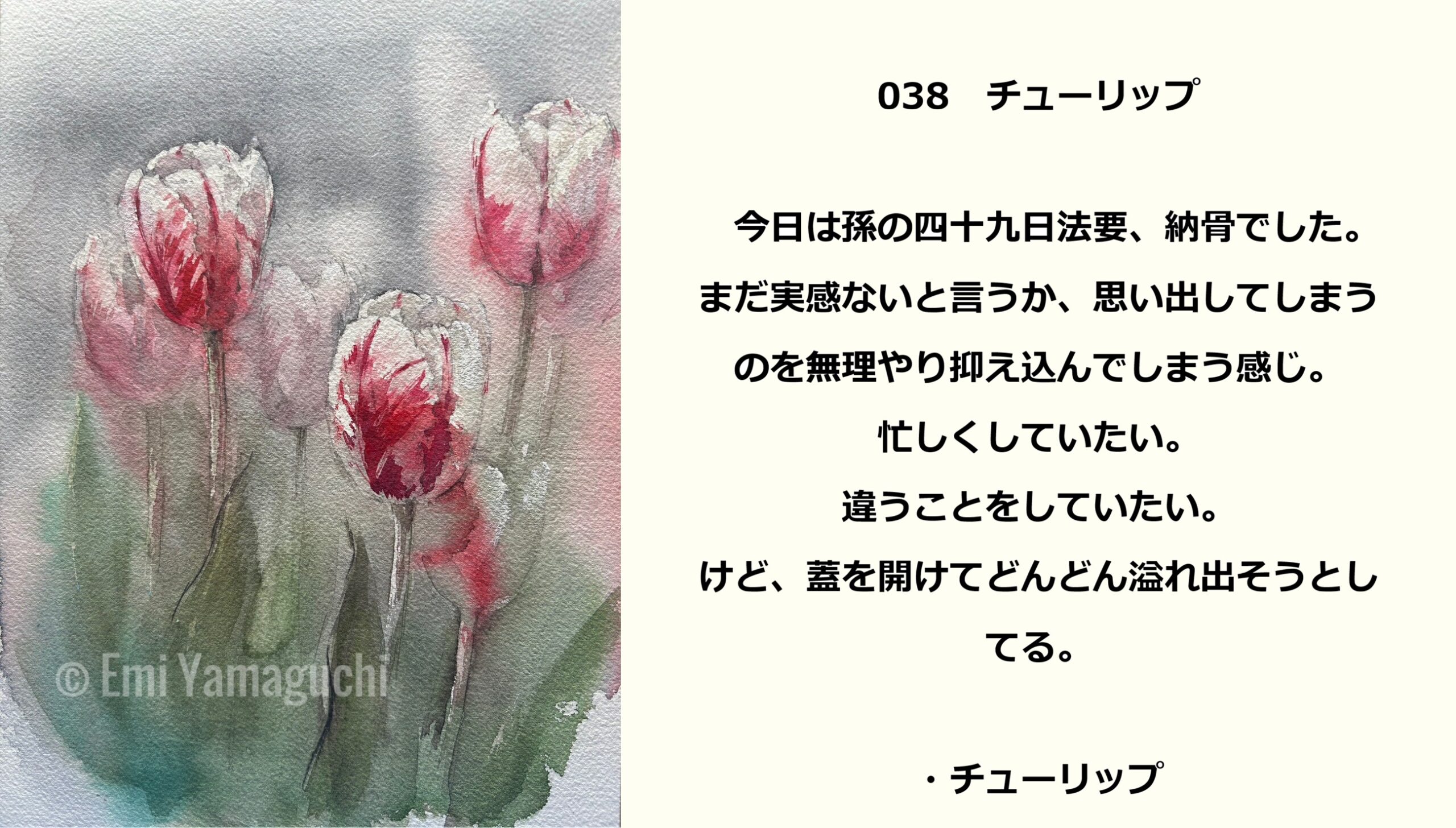 38 チューリップ