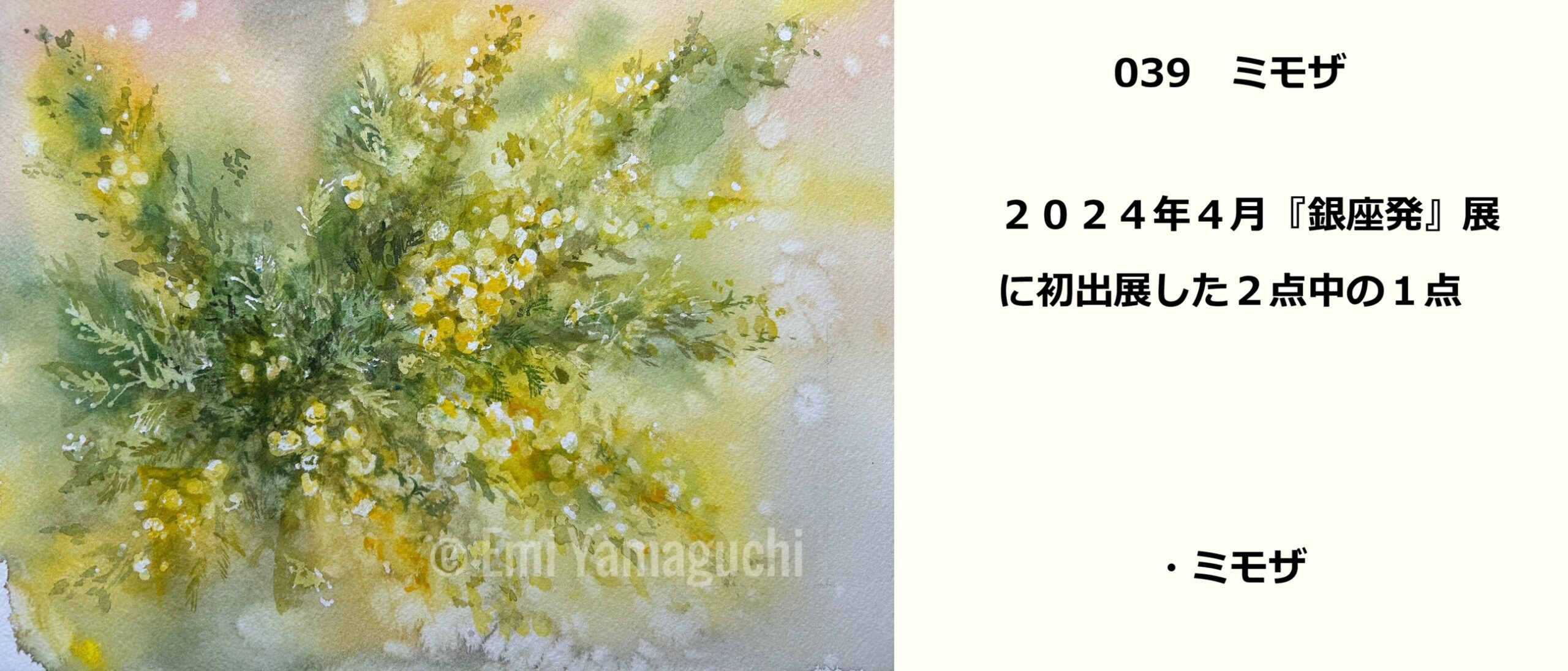 39 ミモザ