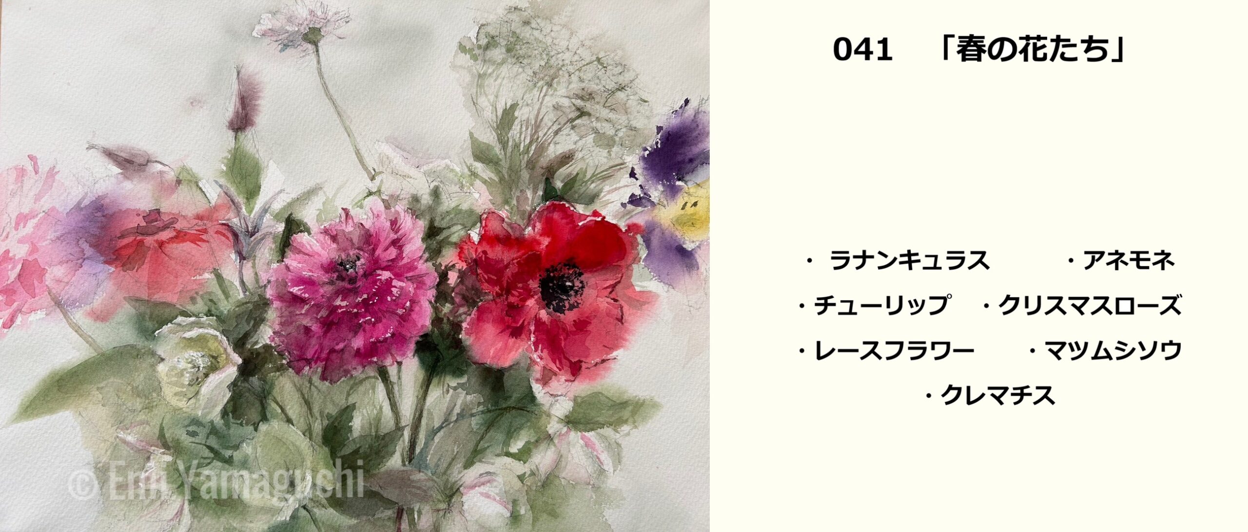 41 「春の花たち」ラナンキュラス、アネモネ、チューリップ、クリスマスローズ、レースフラワー、マツムシソウ、クレマチス