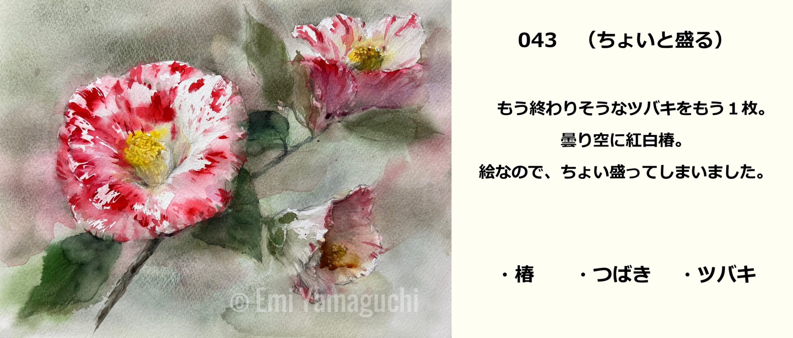 43 ツバキ