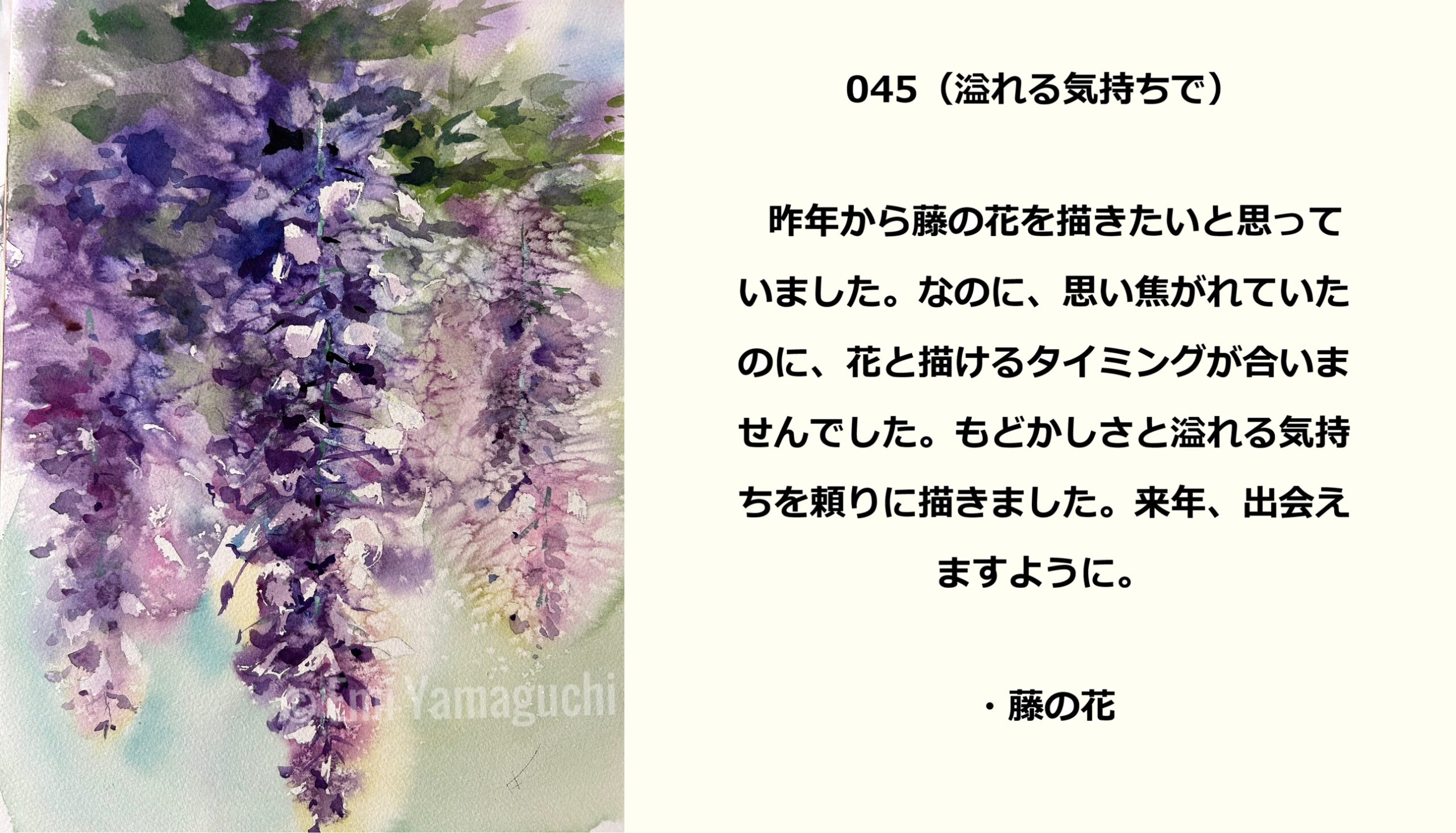 45 藤の花