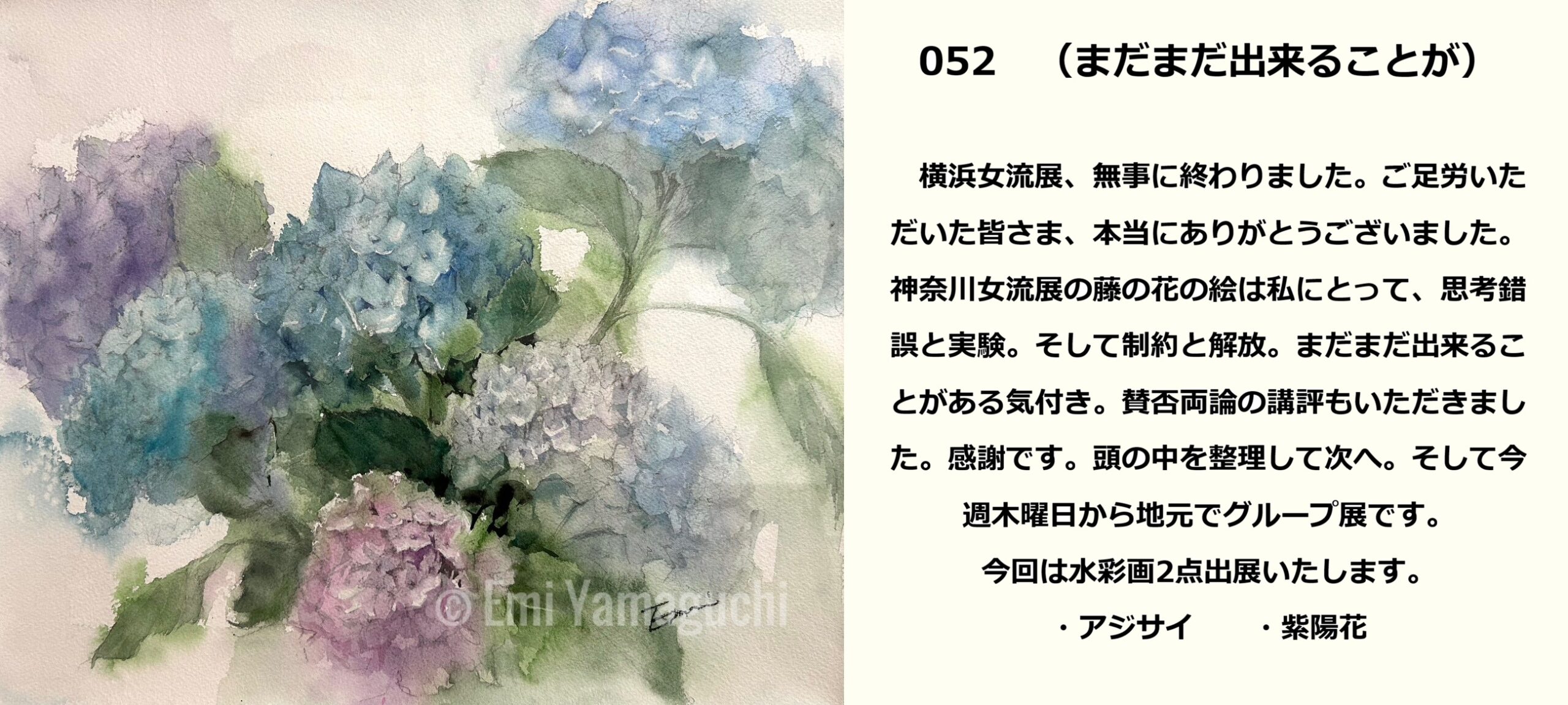 52 アジサイ