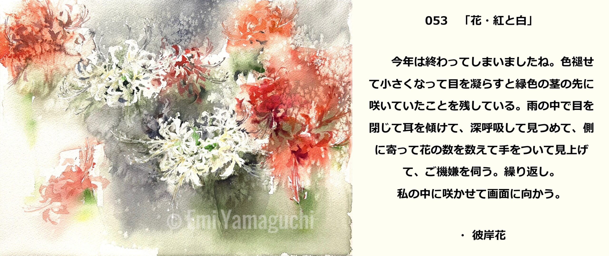 53 彼岸花