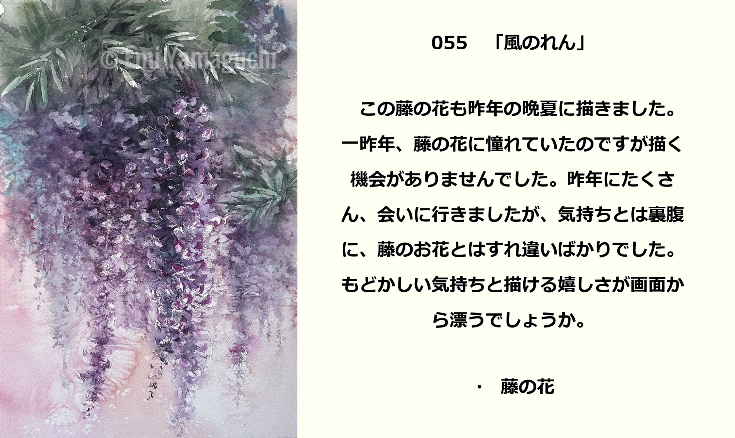 55 藤の花