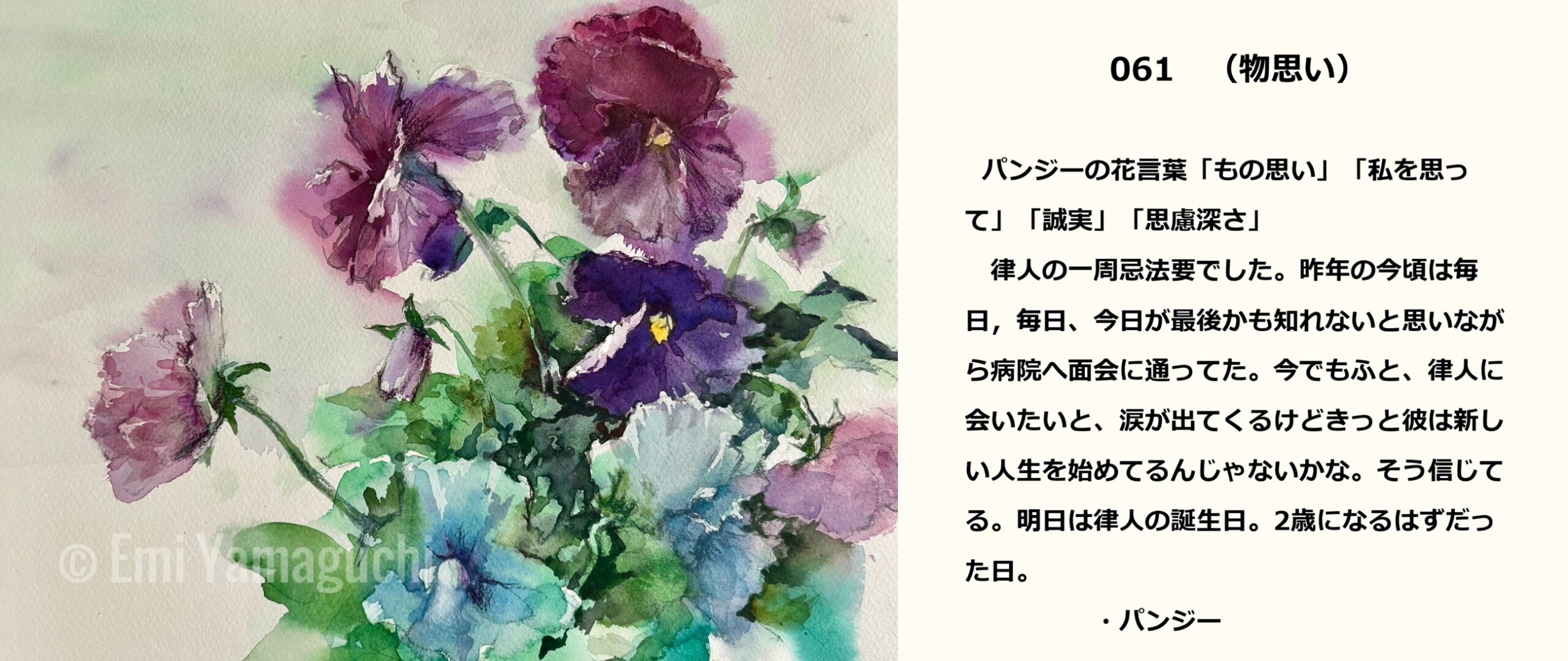 61 パンジー