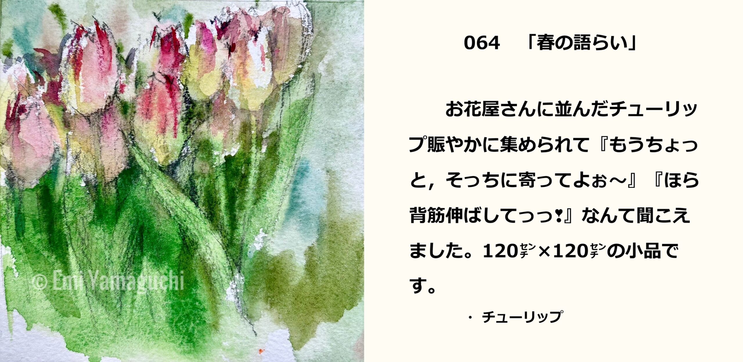 64 チューリップ