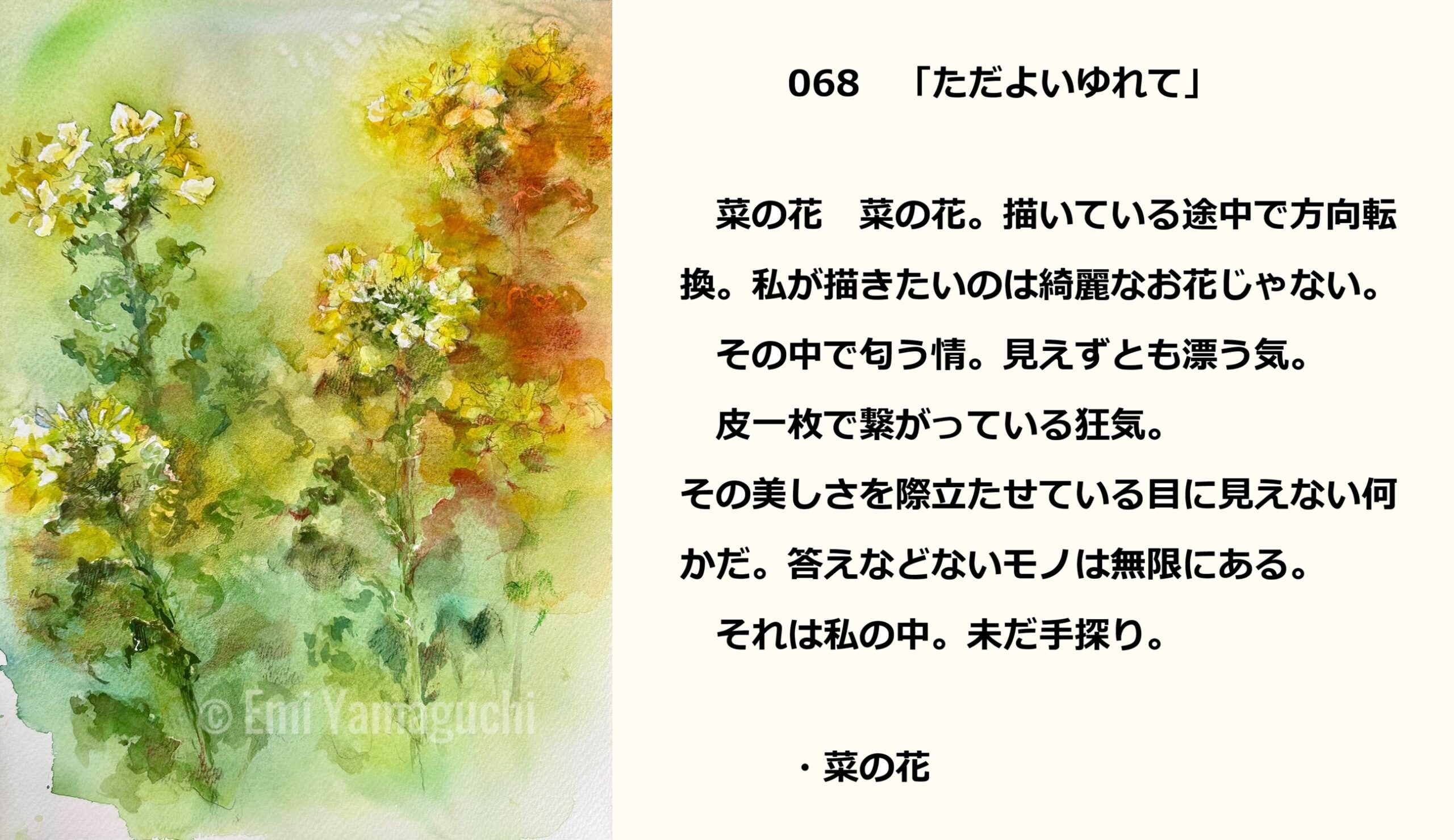 68 菜の花