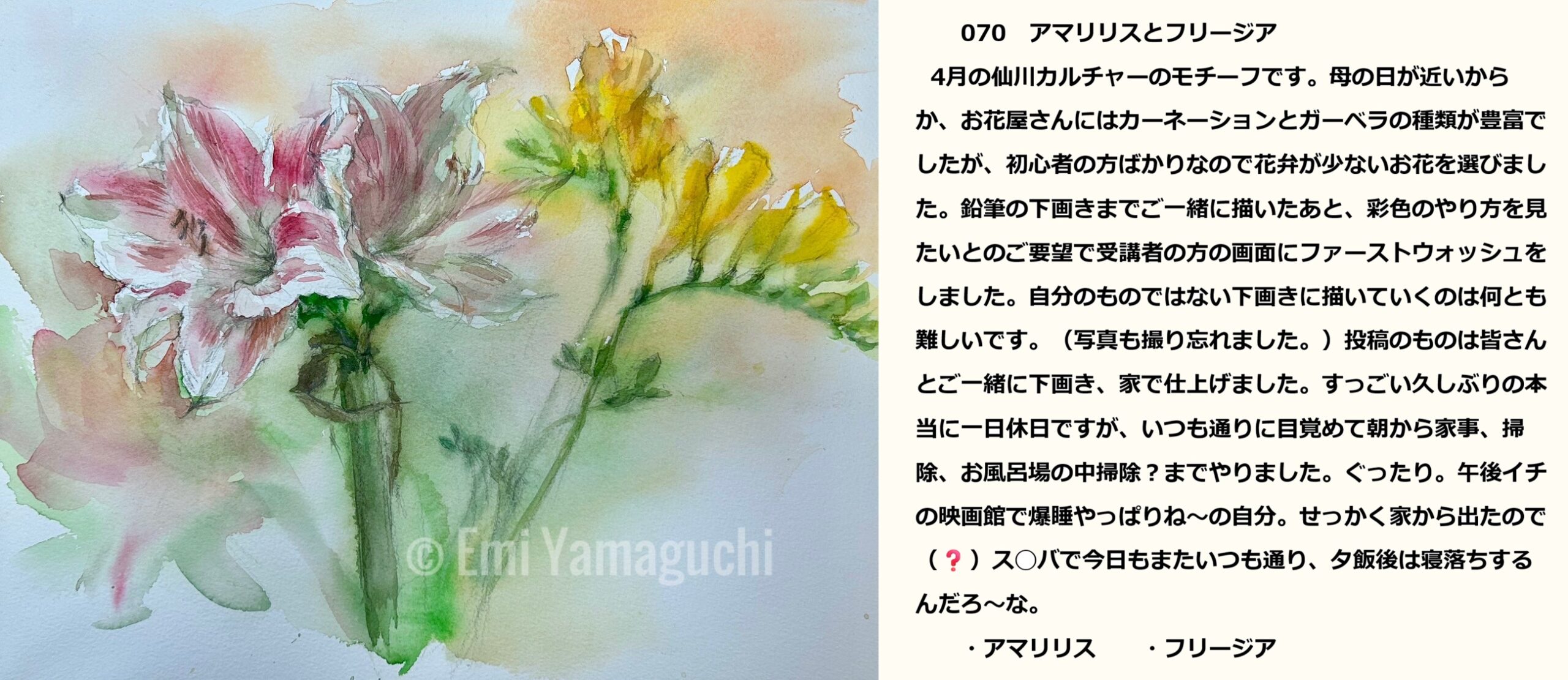 70 アマリリス、フリージア