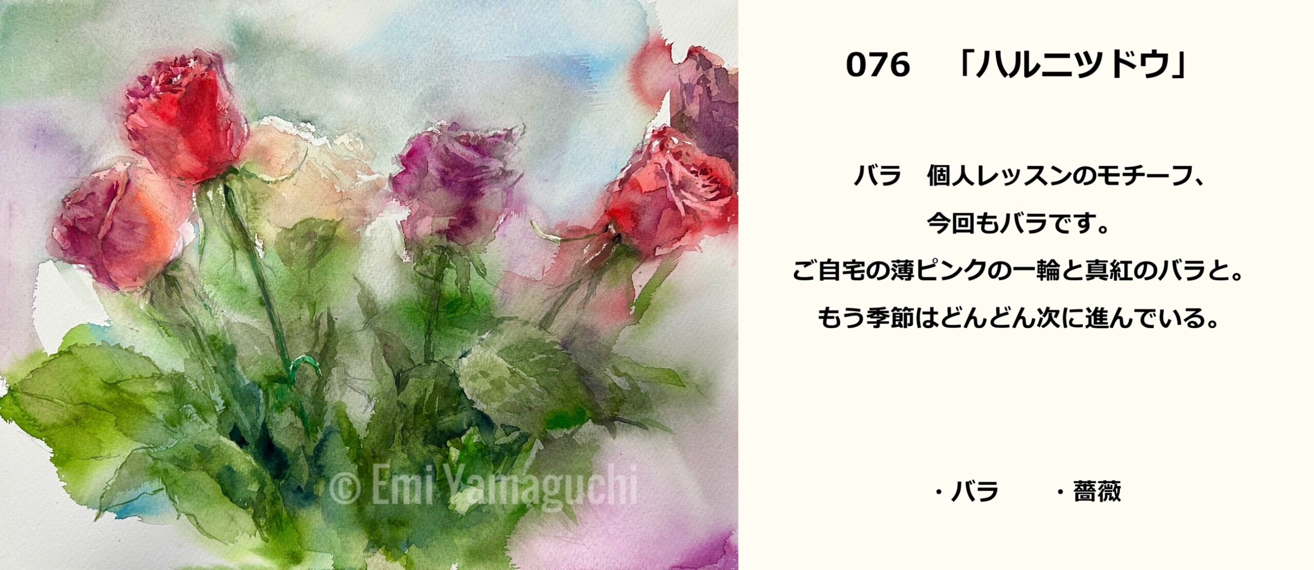 76 バラ