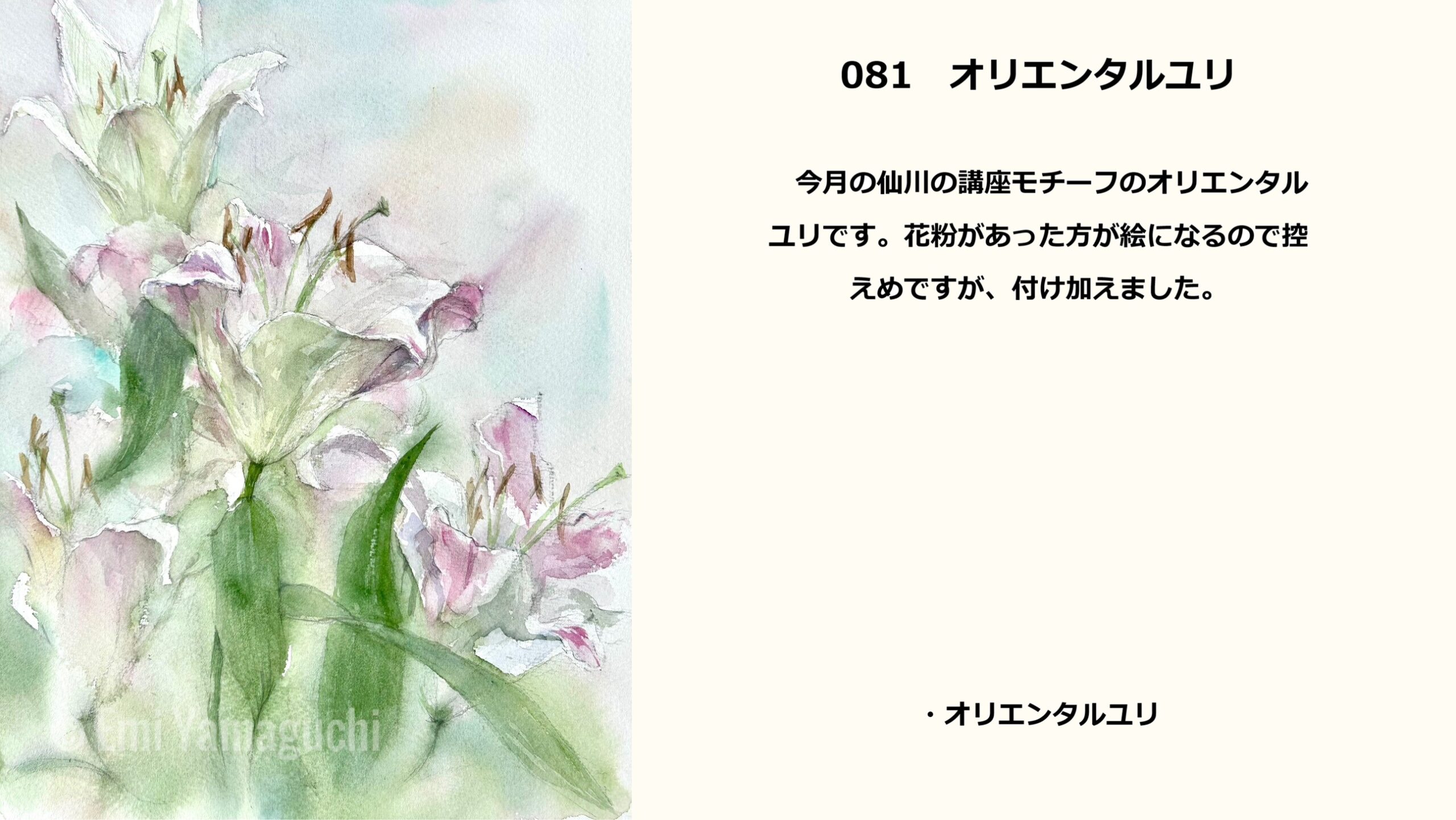 81 オリエンタルユリ