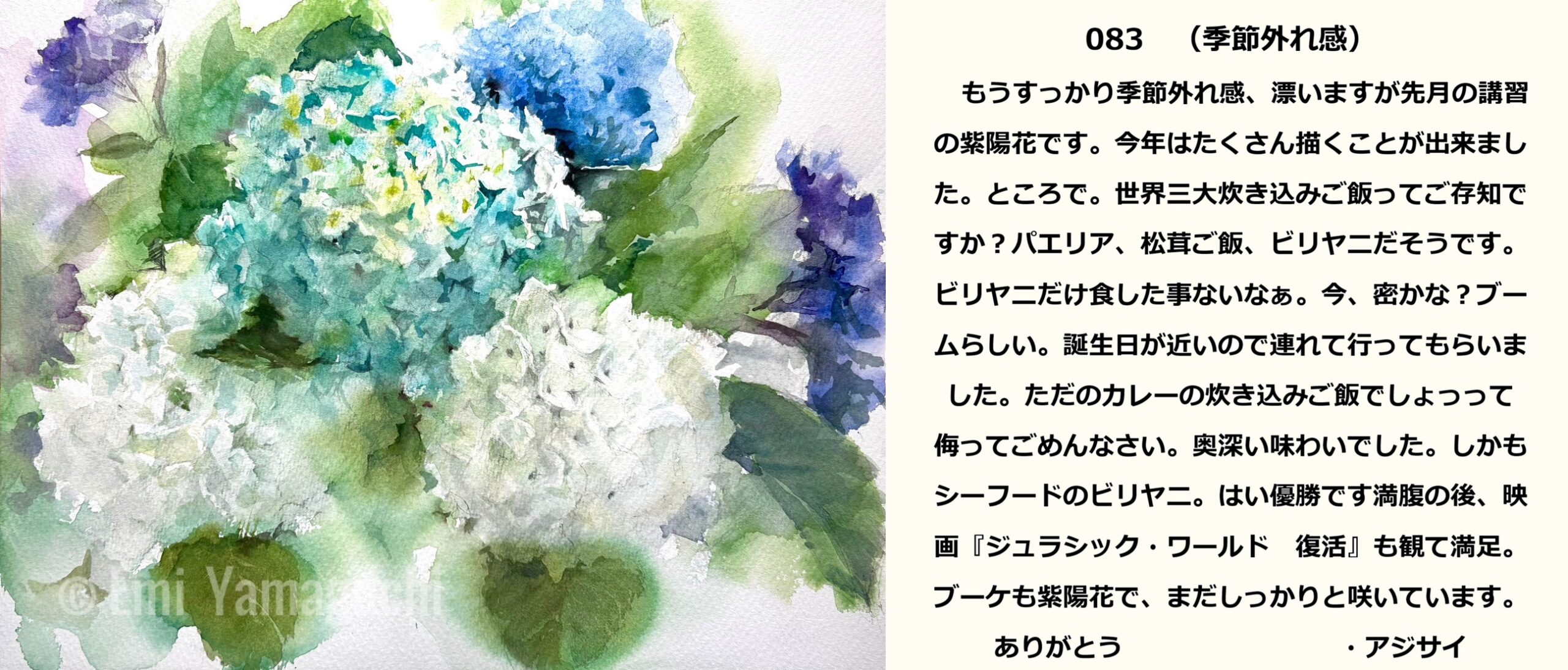 83 アジサイ