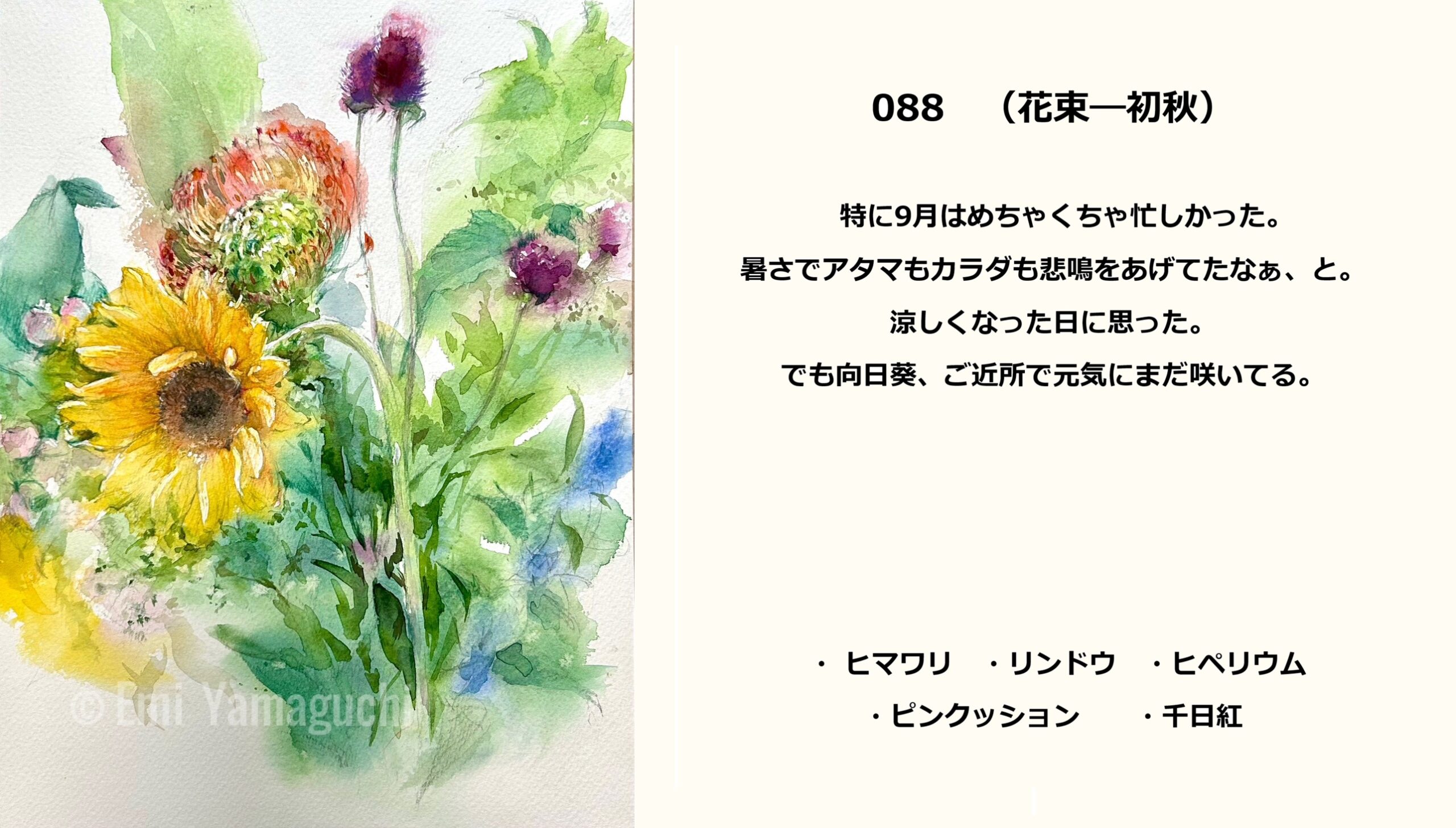 88 ヒマワリ、リンドウ、ヒペリウム、ピンクッション、千日紅