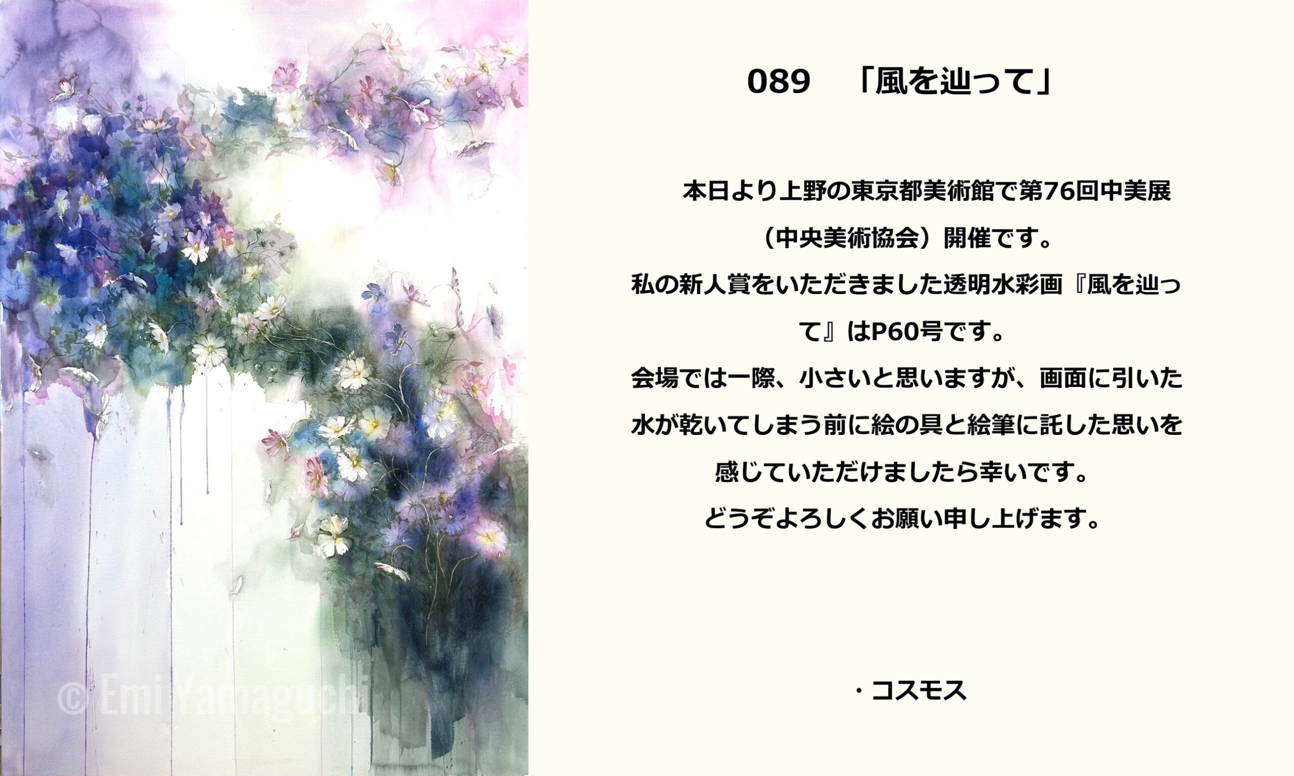 89 コスモス