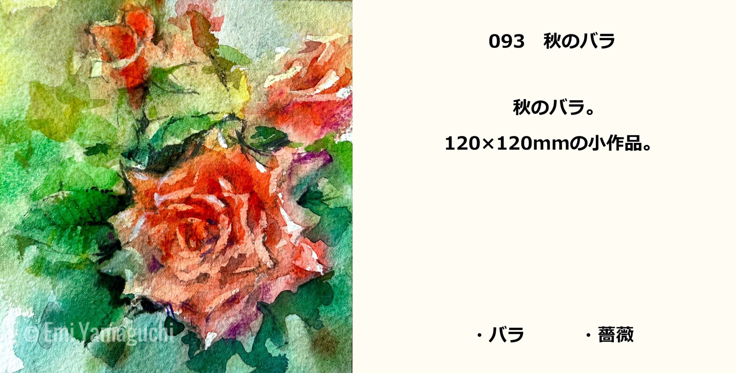 93 秋のバラ