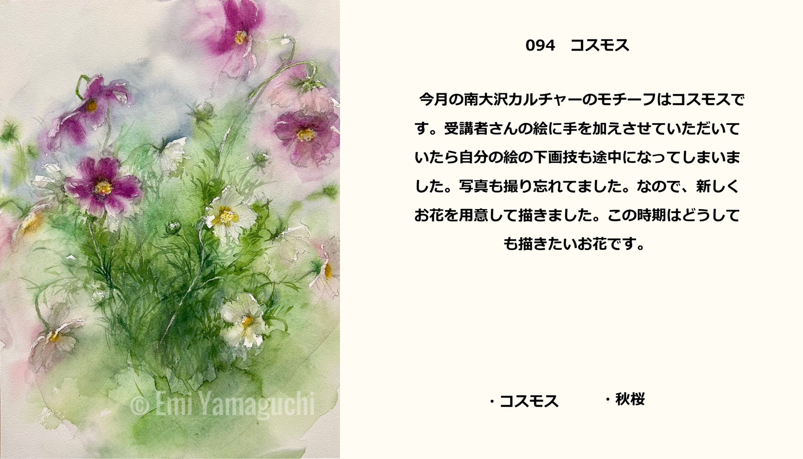 94 コスモス