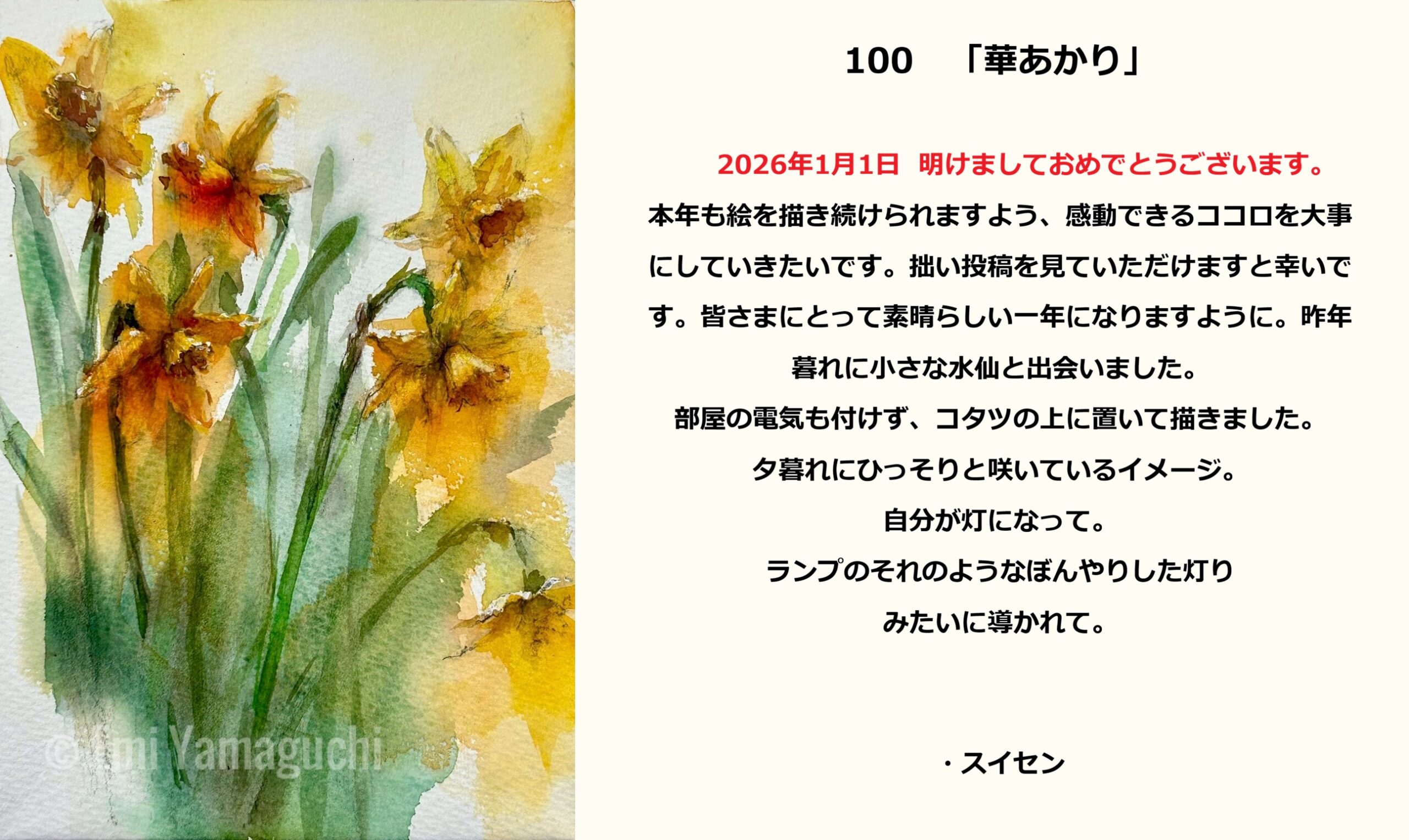 100 スイセン