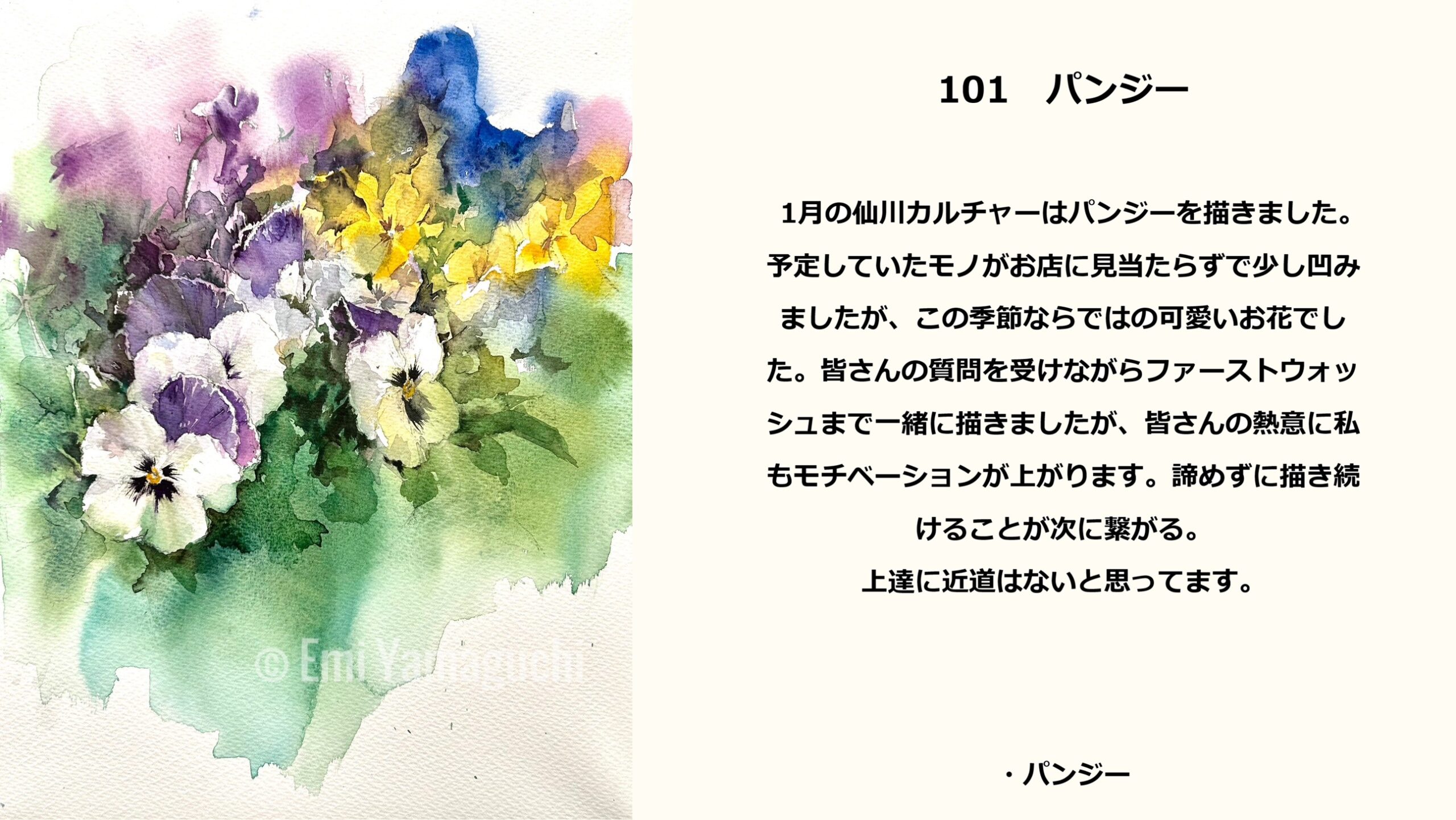101 パンジー