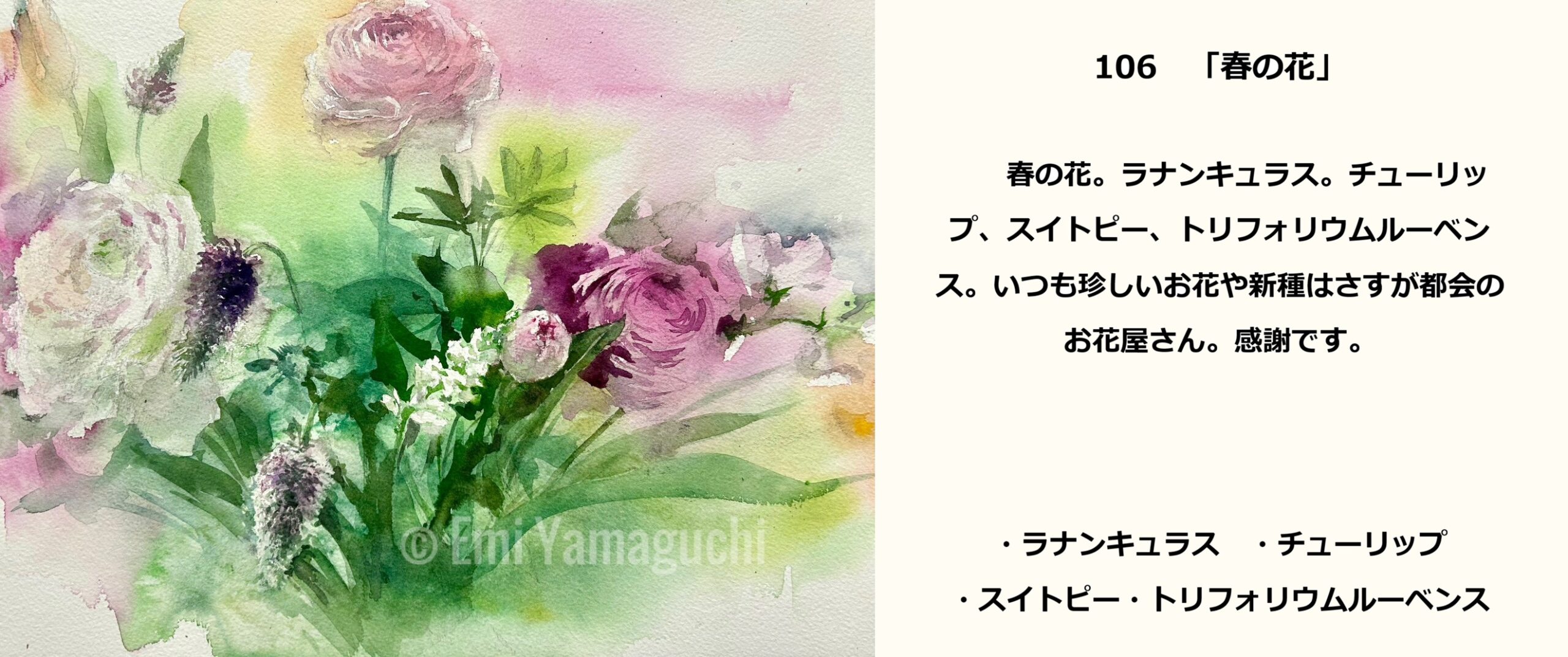106「春の花」ラナンキュラス、チューリップ、スイトピー、トリフォリウムルーベンス