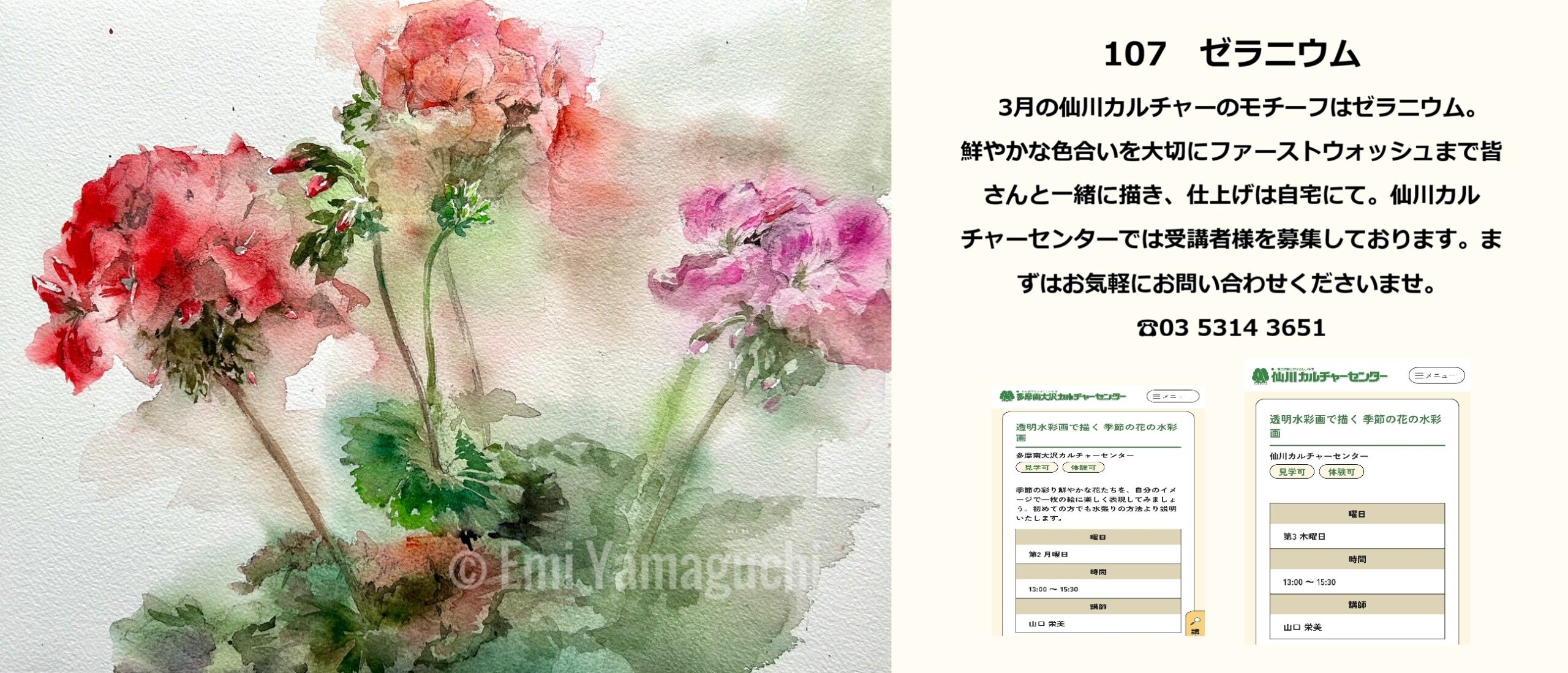 107 ゼラニウム